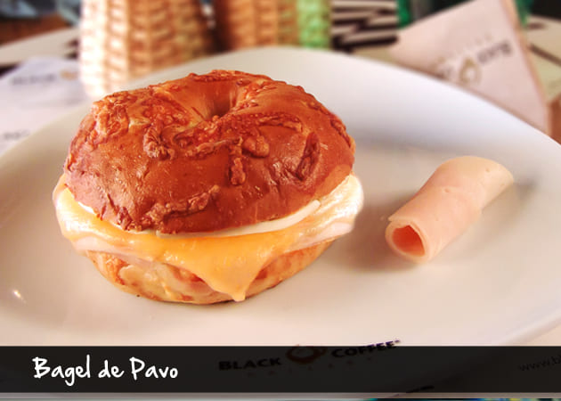 bagel-pavo